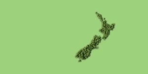 New Zealand on a booster green background